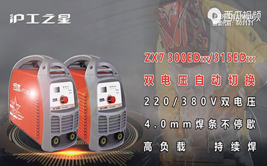 Z6尊龙之星ZX7 300/315EDIII电焊机